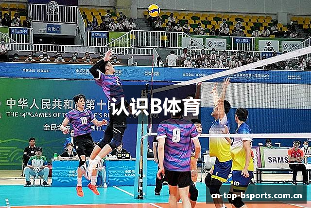 认识B体育